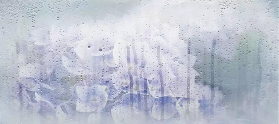 131614 Rosa Деко 20*45