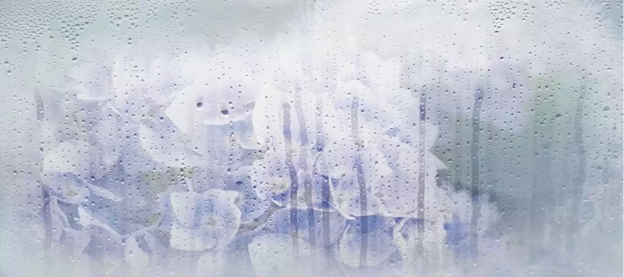 131614 Rosa Деко 20*45