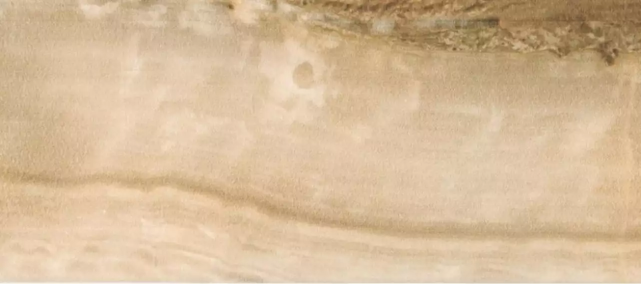 134461 Antares бежевая 20*45