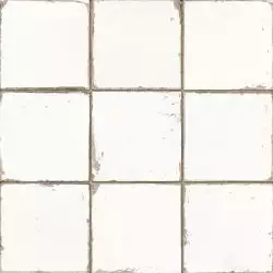 13621 FRANCISCO SEGARRA MANISES-B 33x33