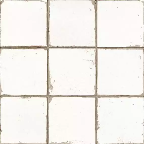 13621 FRANCISCO SEGARRA MANISES-B 33x33