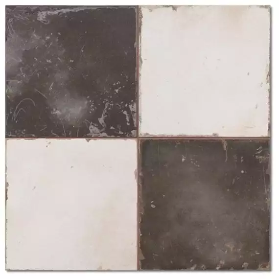15077 FRANCISCO SEGARRA FS DAMERO-N 45x45