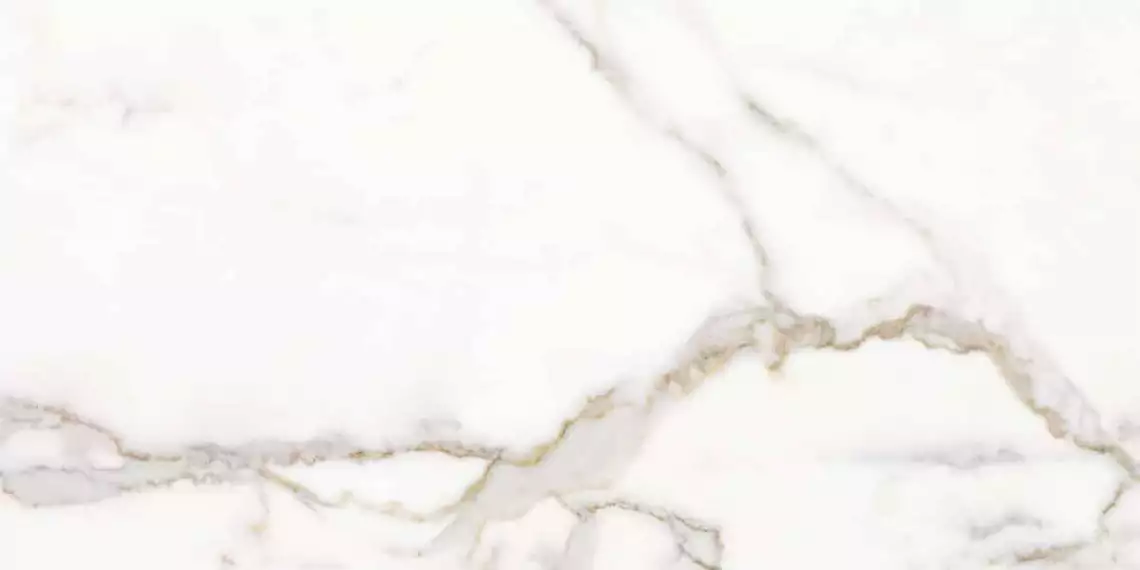 163105 CALACATTA ORO LAPP/RETT 60x120
