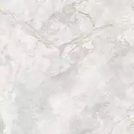 166687 Керамогранит Elison Polished 60x60