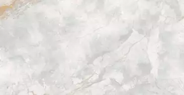 176687 Керамогранит Elison Polished 60x120