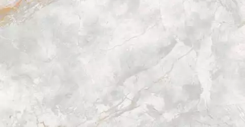 176687 Керамогранит Elison Polished 60x120