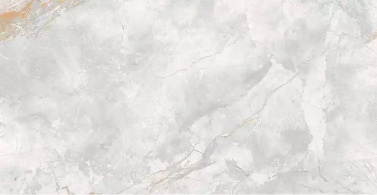 176687 Керамогранит Elison Polished 60x120