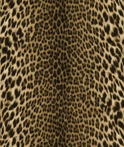 18029 Roberto Cavalli №7