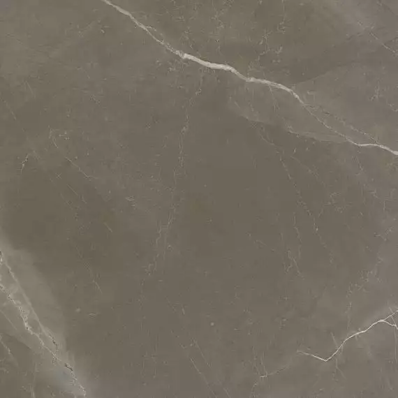 1804 Gris Rectificado Pulido 98x98