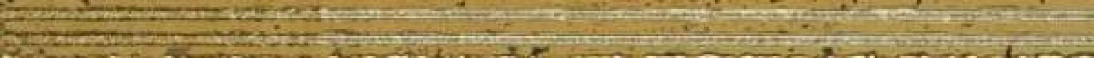 186495 Nirvana Oro 3x60