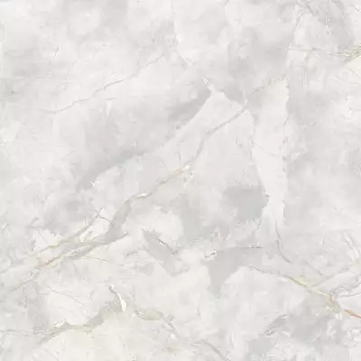 186687 Керамогранит Elison Polished 80x80