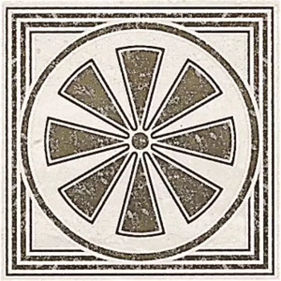 186758 Taco Palatium 14x14