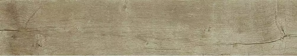 189006 Керамогранит Quercus Antico 22x120