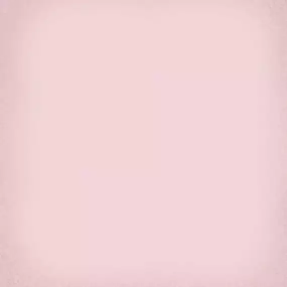 1900 - 20x20 Roza g.136 