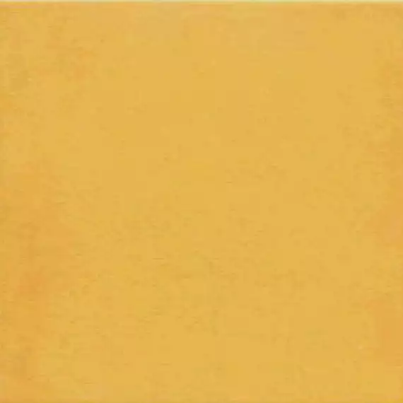 1900 Amarillo g.136 20x20