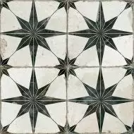 19136 Francisco Segarra Star-N 45x45