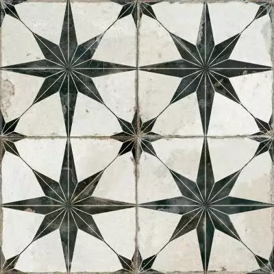 19136 Francisco Segarra Star-N 45x45