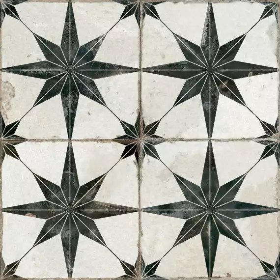 19136 Fs Star-N 45x45