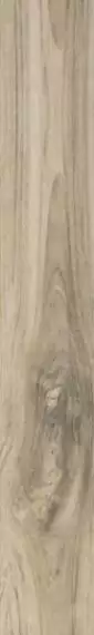 2000 Gray Jenius 20x120