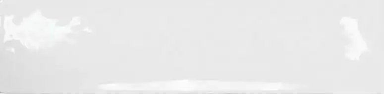 20073 Blanco 7,5x30