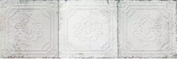 20176 Mitte Wilma 25x75