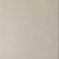 20869 Caprice Grey 20*20