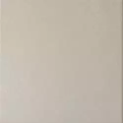 20869 Caprice Grey 20*20
