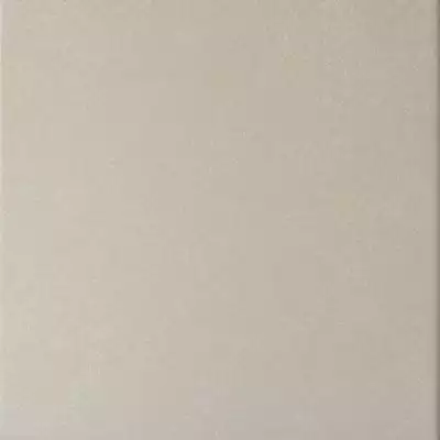 20869 Caprice Grey 20*20