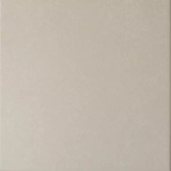 20869 Caprice Grey 20*20