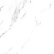 2090417 Керамогранит Statuario Grigio Lucido 9mm 120x120