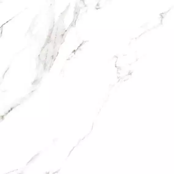 2090417 Керамогранит Statuario Grigio Lucido 9mm 120x120