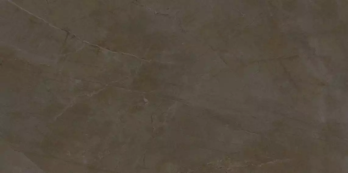 21065 MUSEUM MADISON/60x120/EP 60х120