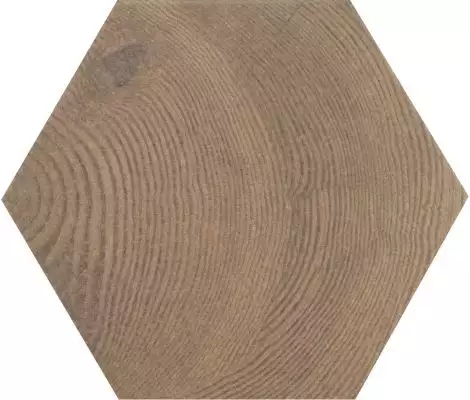 21630 Керамогранит HEXAWOOD Old 17.5x20