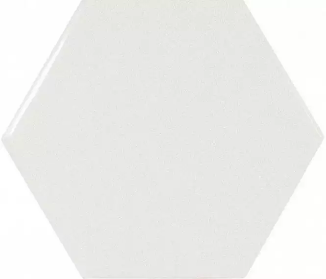 21911 HEXAGON SCALE White 10,7x12,4