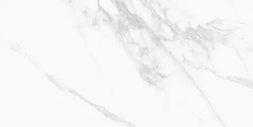 22012 TORANO BIANCO/60X120/NAT/R 60x120