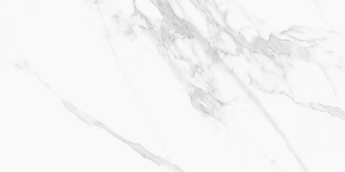 22012 TORANO BIANCO/60X120/NAT/R 60x120