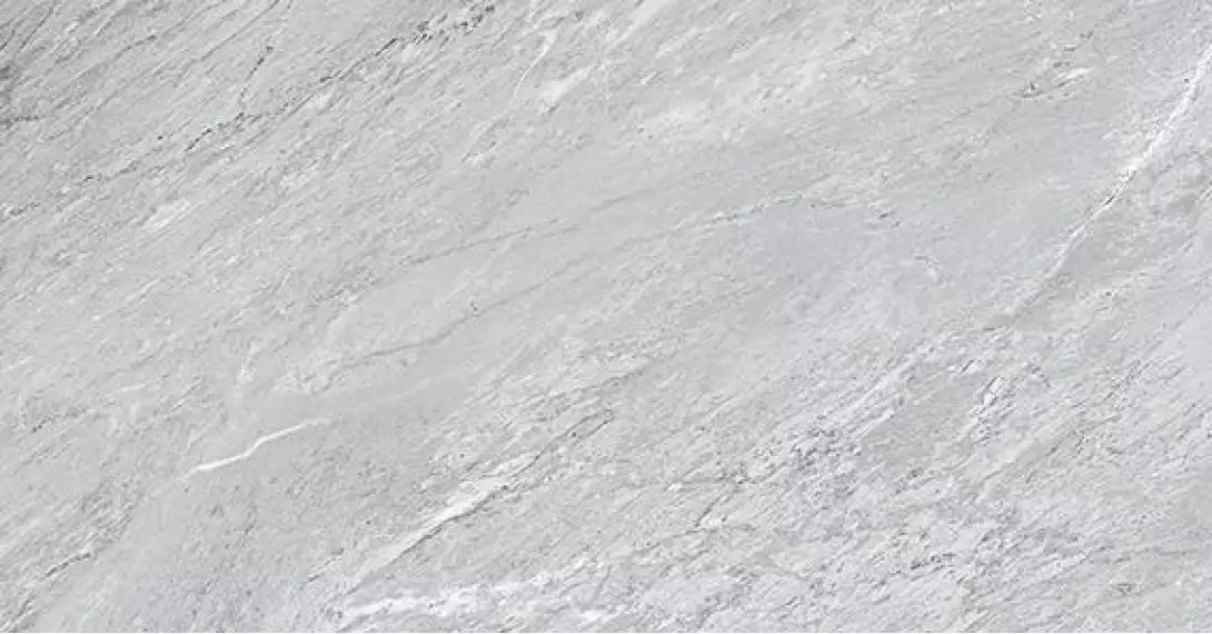22059 MUSEUM BARDIGLIO GREY/60X120/EP 60x120