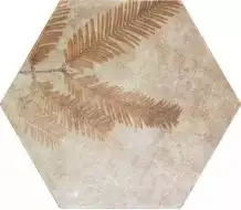 220971 Tropic Cotto 32x36.8