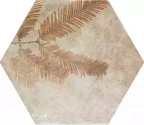 220971 Tropic Cotto 32x36.8