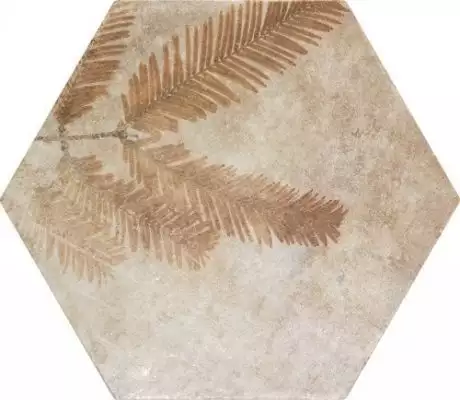 220971 Tropic Cotto 32x36.8
