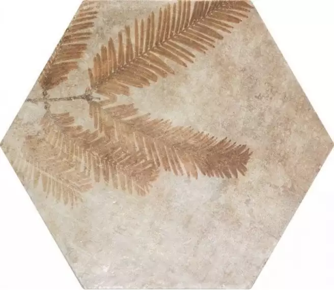 220971 Tropic Cotto 32x36.8