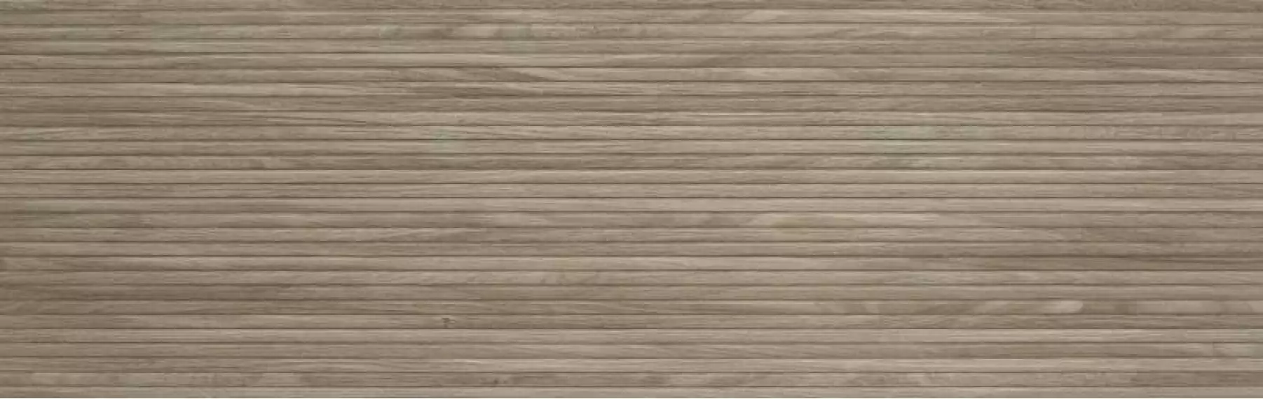 221148 Linnear Olive 31.6x100