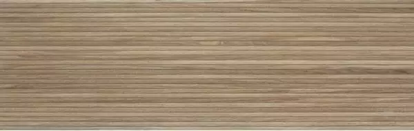 221149 Linnear Naural 31.6x100