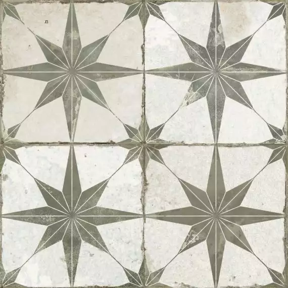 23199 FS STAR SAGE 45x45