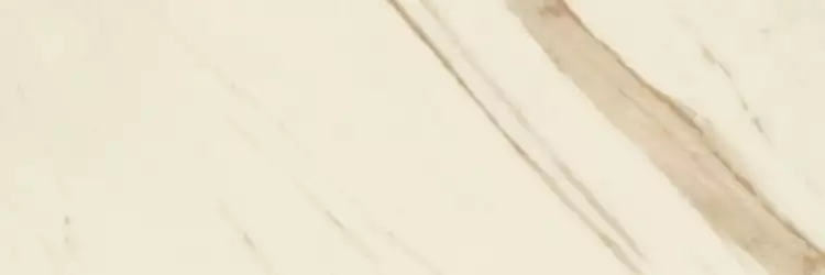 240031 MARBLE BIANCO CALACATTA RETTIFICATO LAPPATO 19,5x58,5