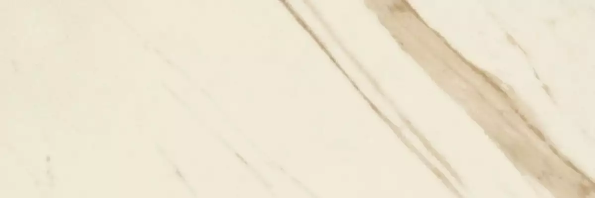 240031 MARBLE BIANCO CALACATTA RETTIFICATO LAPPATO 19,5x58,5