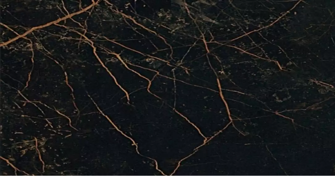 240063 MARBLE NERO S.LAURENT LAPPATO 58.5x117.5