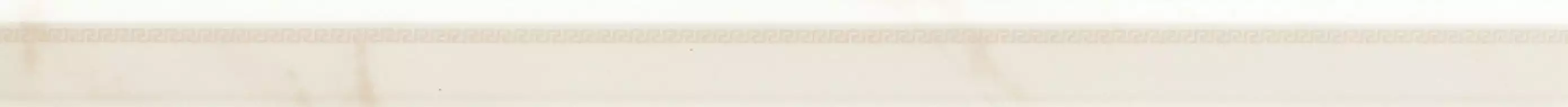 240771 MARBLE TORELLO BIANCO 4x58,5