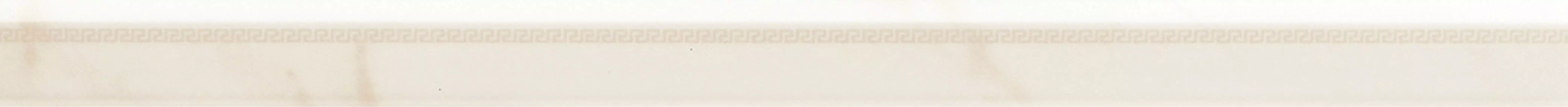 240771 MARBLE TORELLO BIANCO 4x58,5