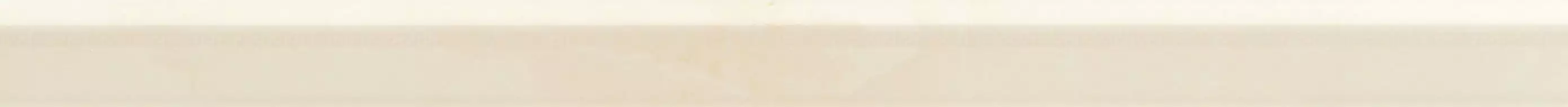 240774 MARBLE TORELLO BEIGE 4x58,5